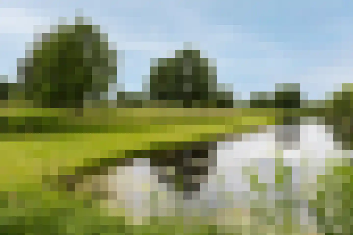 Klokkeweit 26 Zwaagdijk-West thumbnail 44