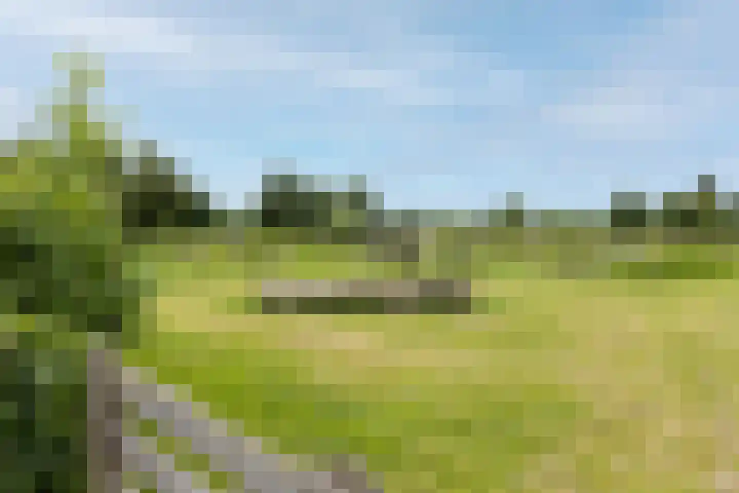 Klokkeweit 26 Zwaagdijk-West thumbnail 47