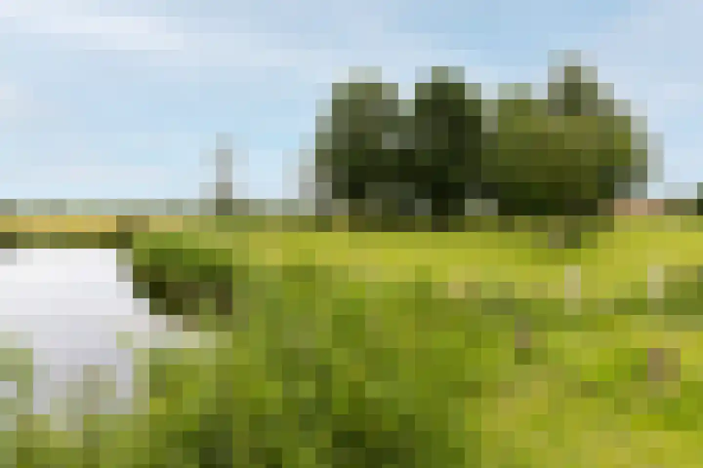 Klokkeweit 26 Zwaagdijk-West thumbnail 49
