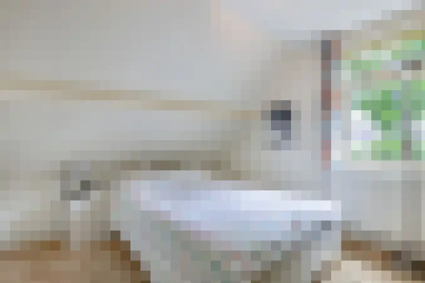 Klokmakkerij 12 Joure thumbnail 23