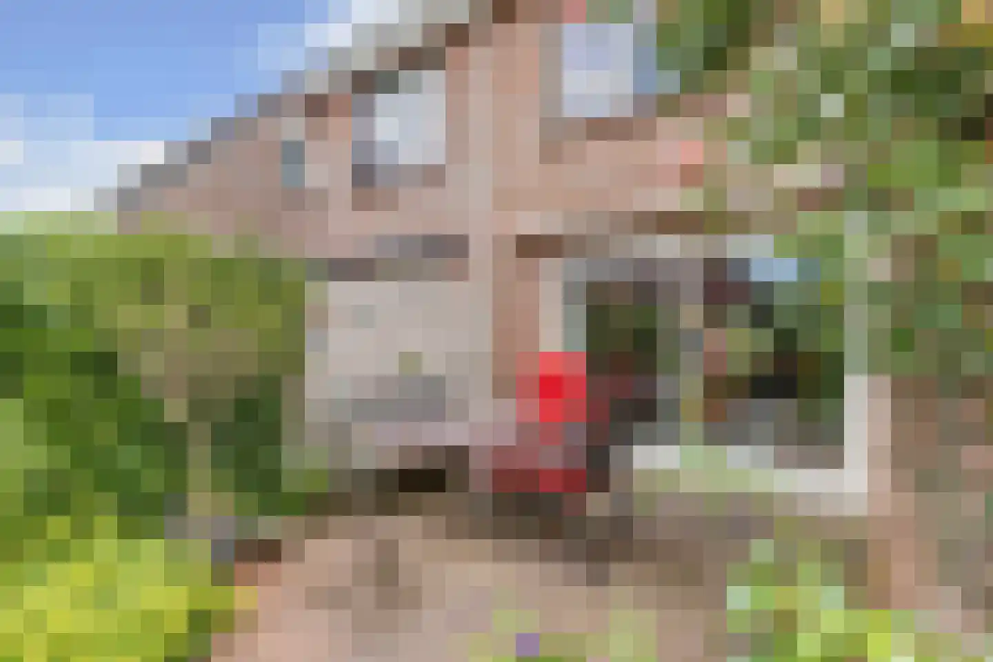 Klokmakkerij 12 Joure thumbnail 40
