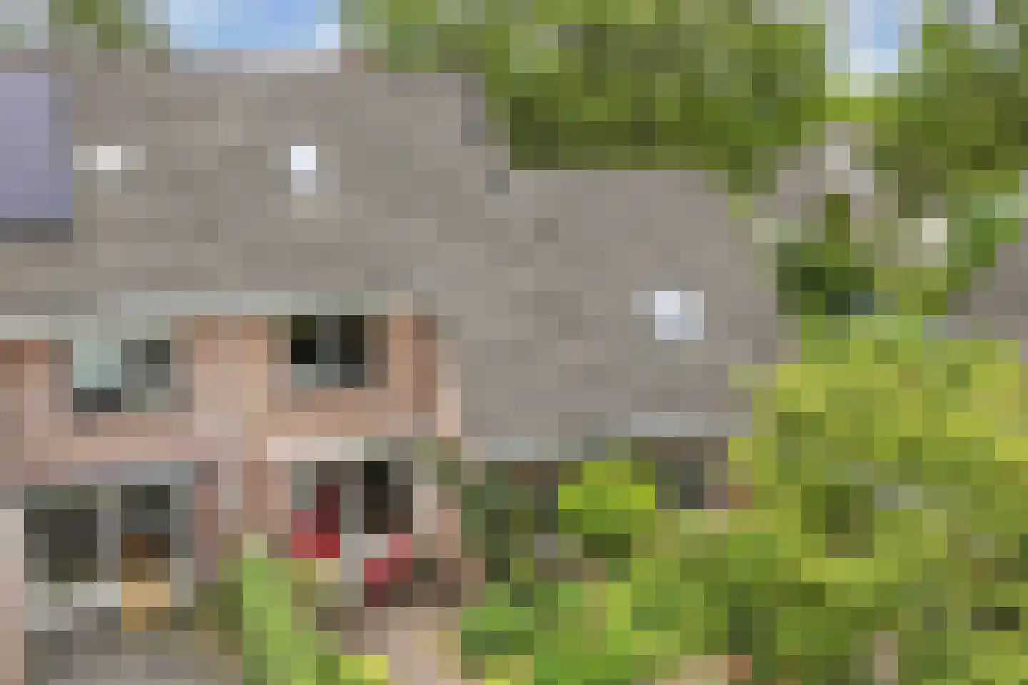 Klokmakkerij 12 Joure thumbnail 47