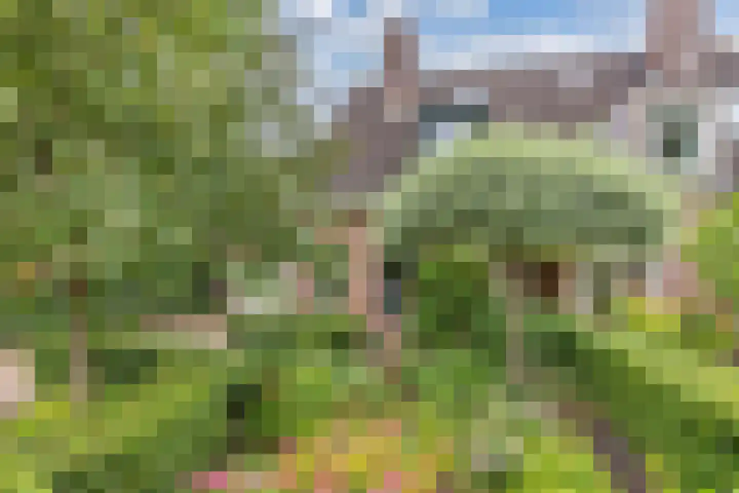 Klokmakkerij 12 Joure thumbnail 50