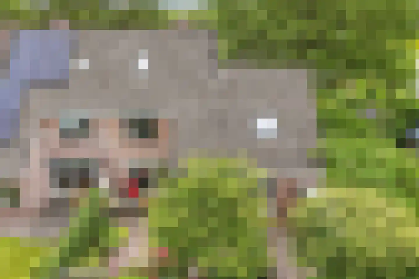 Klokmakkerij 12 Joure thumbnail 51