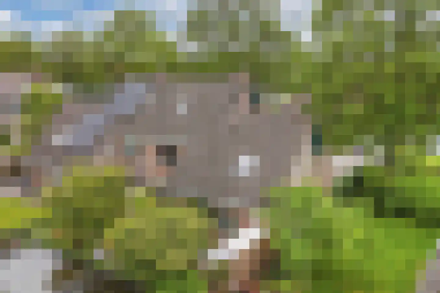 Klokmakkerij 12 Joure thumbnail 52