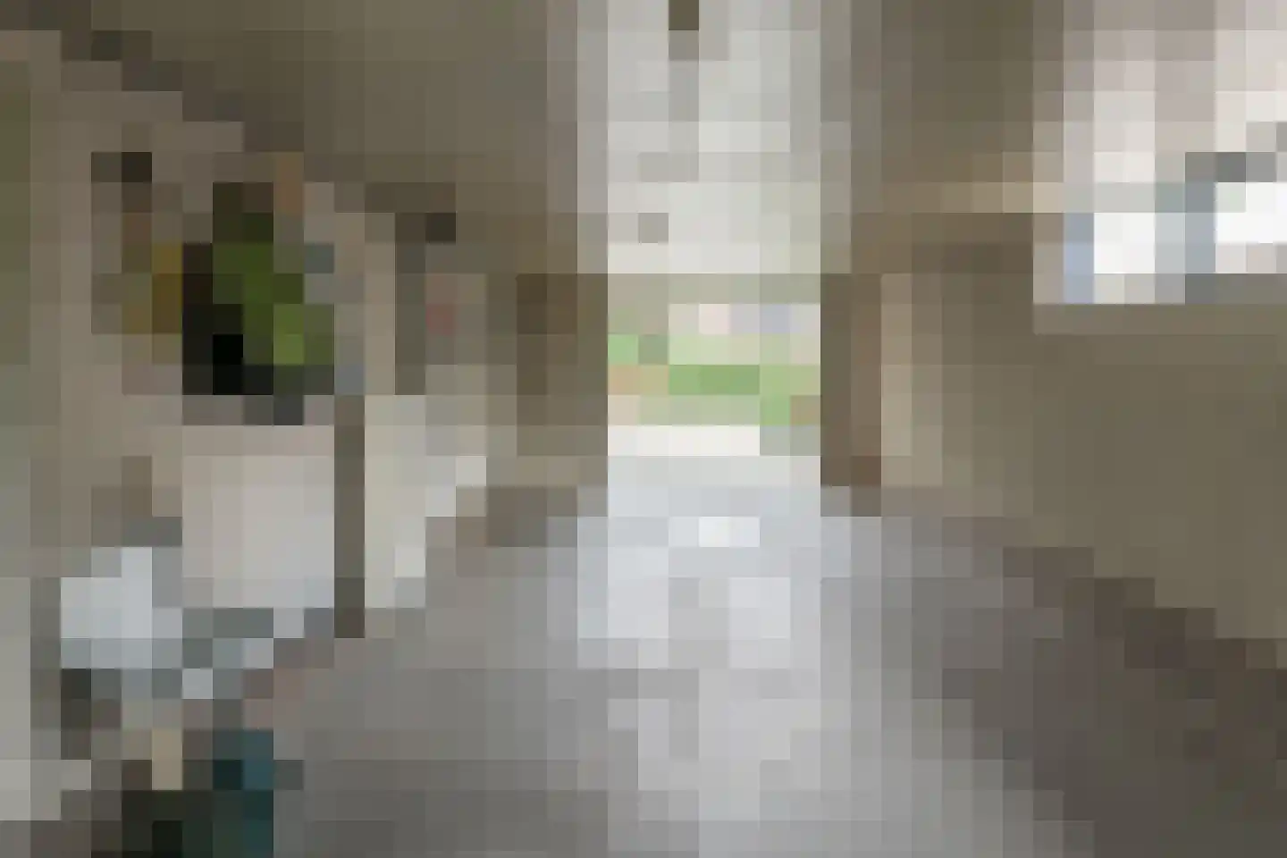 Klokmakkerij 13 Joure thumbnail 19