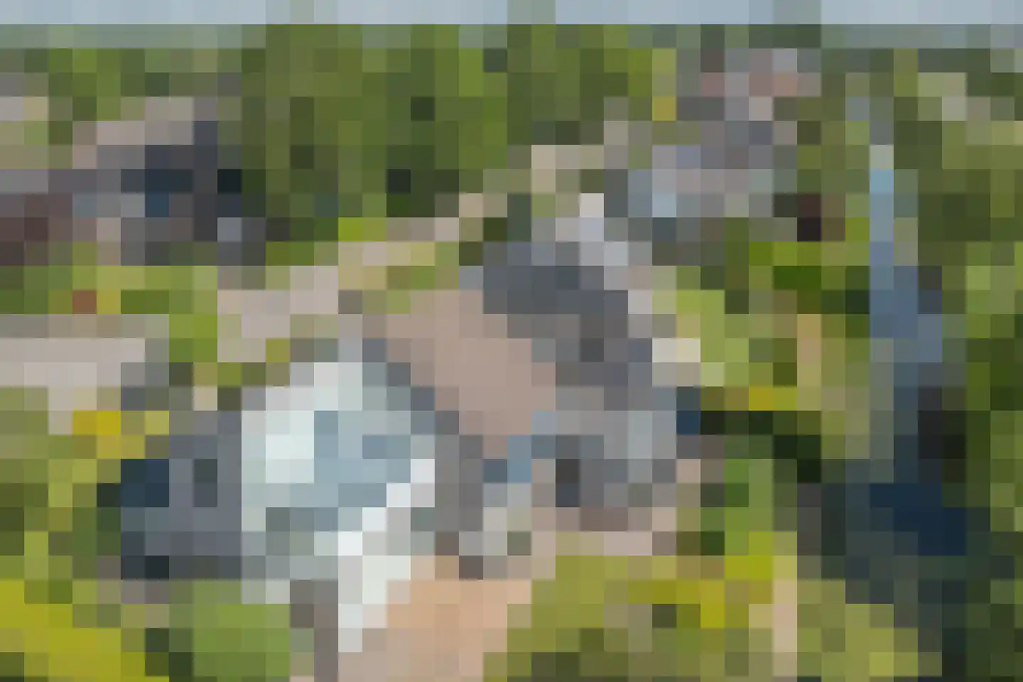 Klokmakkerij 13 Joure thumbnail 6