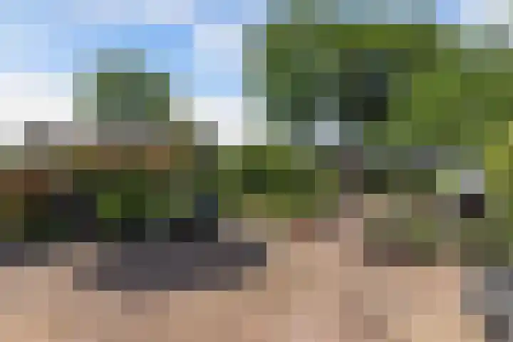 Klokmakkerij 18 Joure foto 2