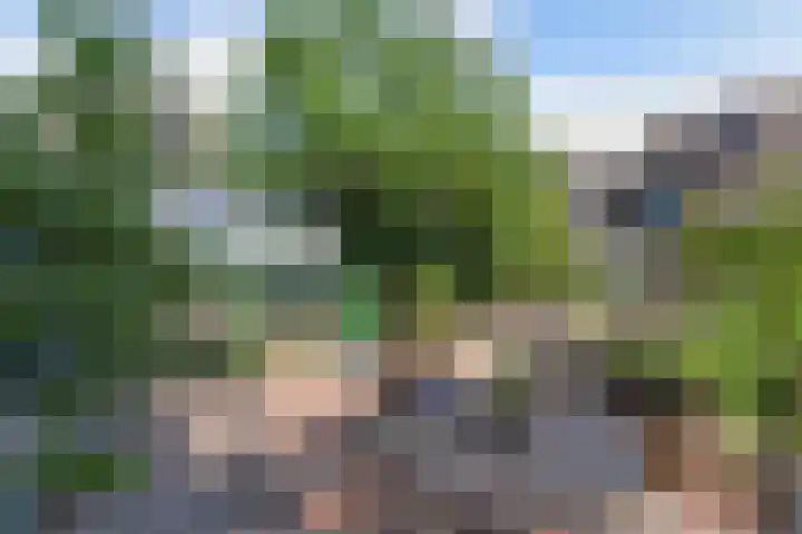 Klokmakkerij 18 Joure foto 3