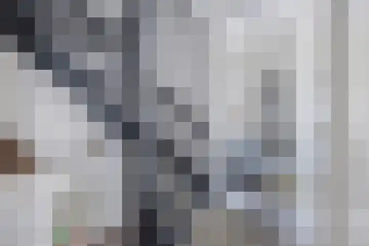 Klokmakkerij 18 Joure thumbnail 30