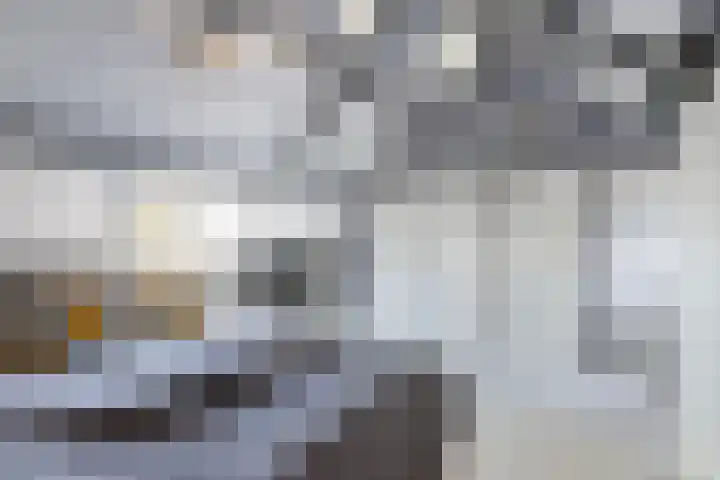Klokmakkerij 18 Joure thumbnail 39