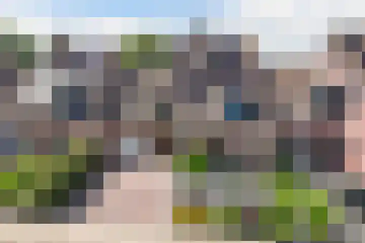 Klokmakkerij 18 Joure thumbnail 4