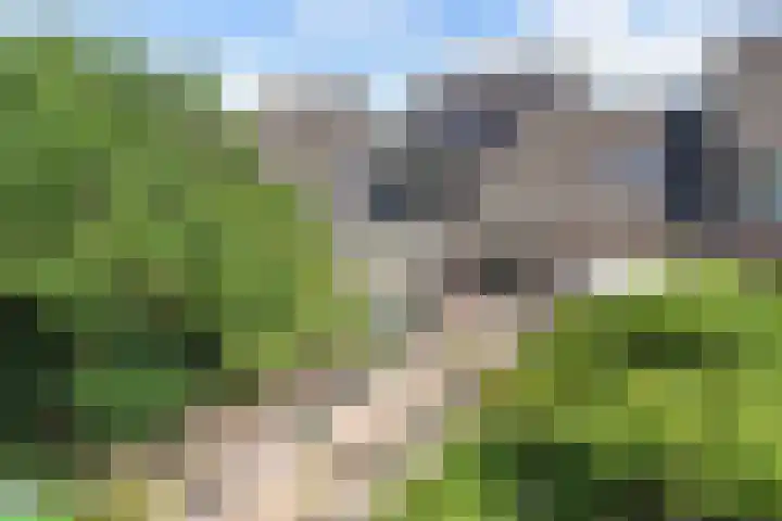 Klokmakkerij 18 Joure thumbnail 46
