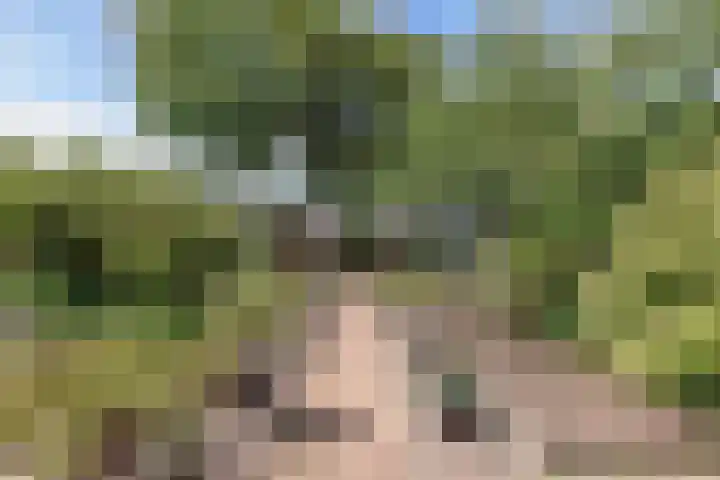 Klokmakkerij 18 Joure thumbnail 50