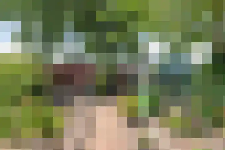 Klokmakkerij 18 Joure thumbnail 51