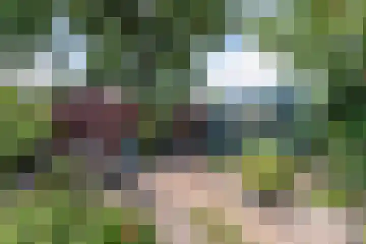 Klokmakkerij 18 Joure thumbnail 52