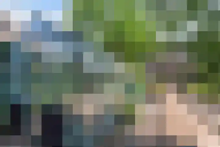 Klokmakkerij 18 Joure thumbnail 53