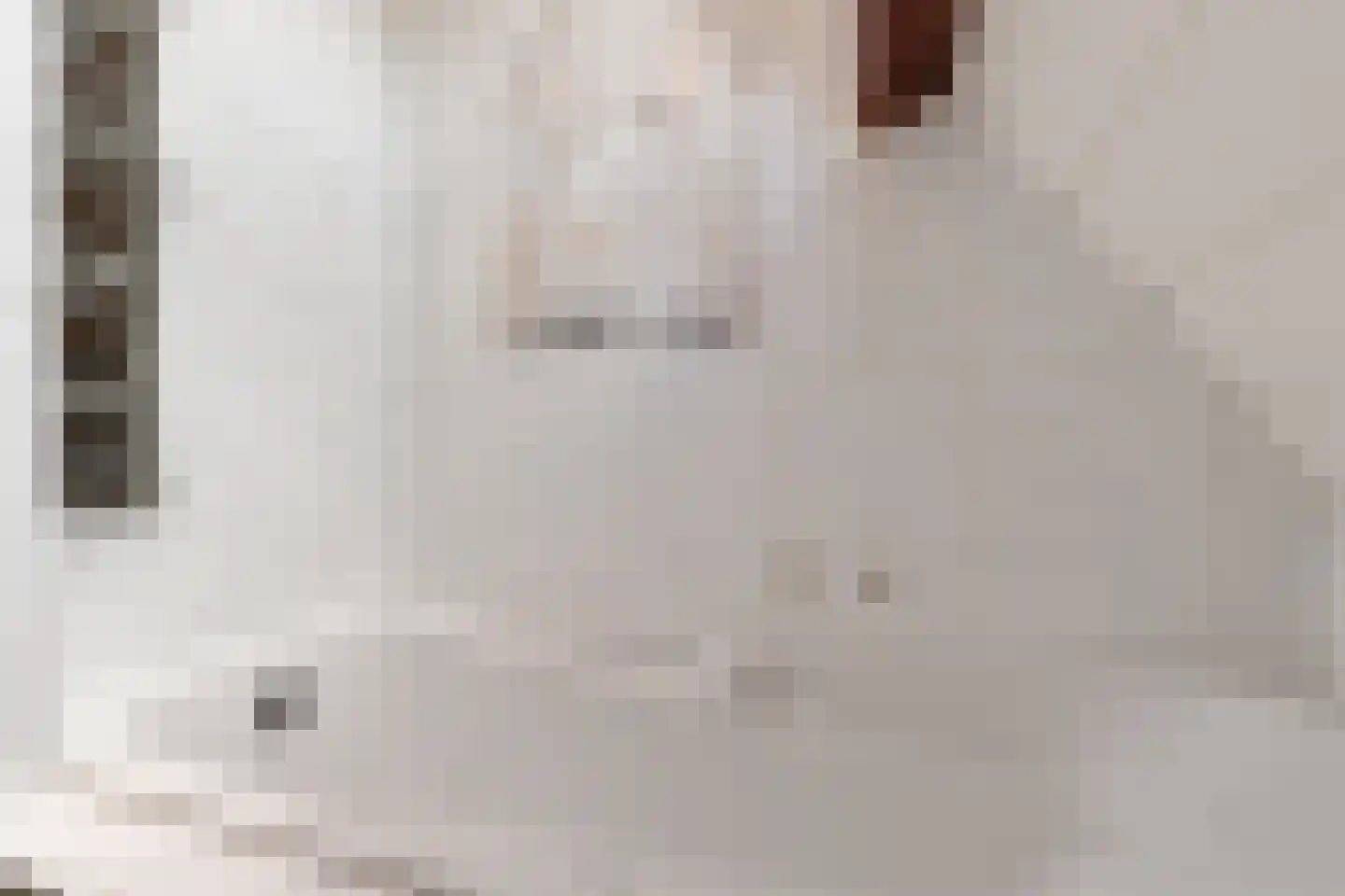 Klokmakkerij 8 Joure thumbnail 31