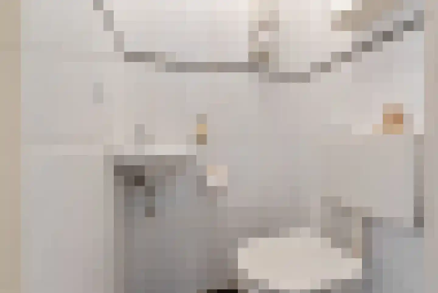 Klokmakkerij 8 Joure thumbnail 32