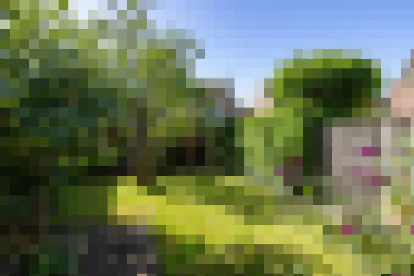 Klokmakkerij 8 Joure thumbnail 7