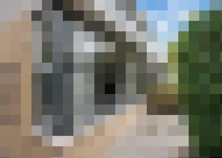 Klokschildpad 28 Heerhugowaard thumbnail 31