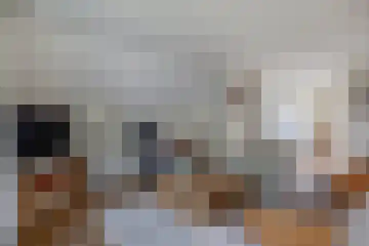 Klokslach 22 Koudum thumbnail 14