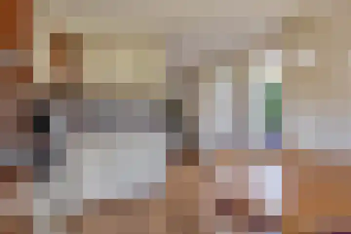Klokslach 22 Koudum thumbnail 17
