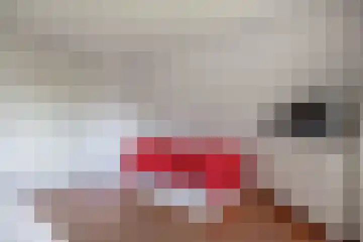 Klokslach 22 Koudum thumbnail 31