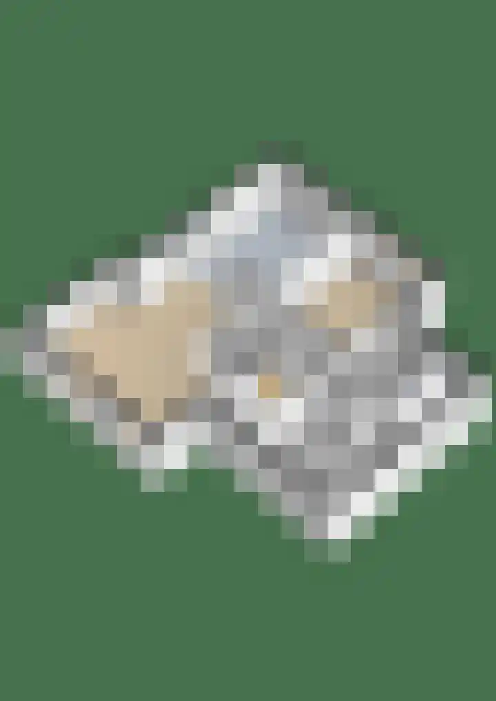 Klokslach 22 Koudum thumbnail 46