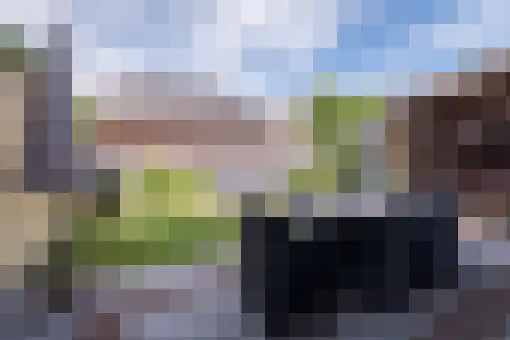 Klokstaart 11 Eersel thumbnail 27