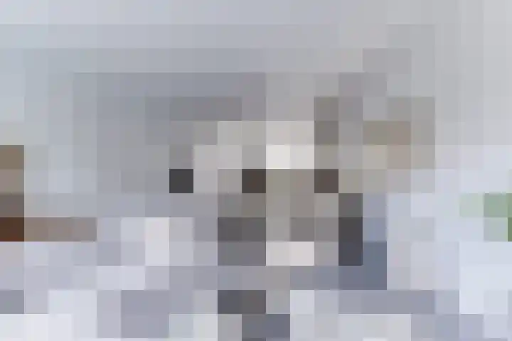 Klokstaart 13 Eersel thumbnail 13