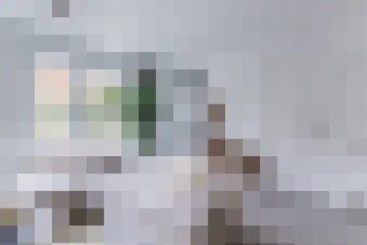Klokstaart 13 Eersel thumbnail 14