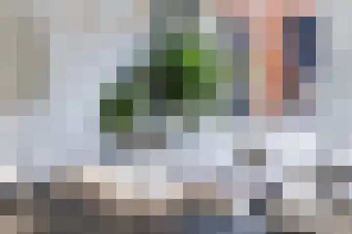 Klokstaart 13 Eersel thumbnail 15
