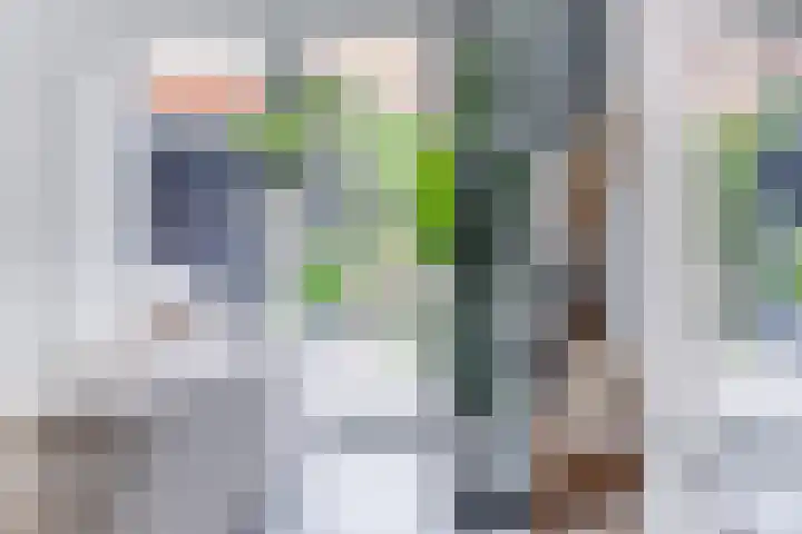 Klokstaart 13 Eersel thumbnail 16