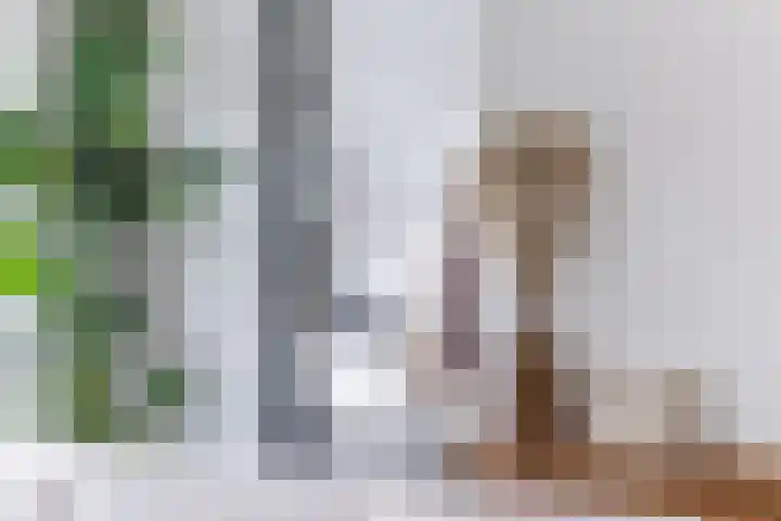 Klokstaart 13 Eersel thumbnail 17