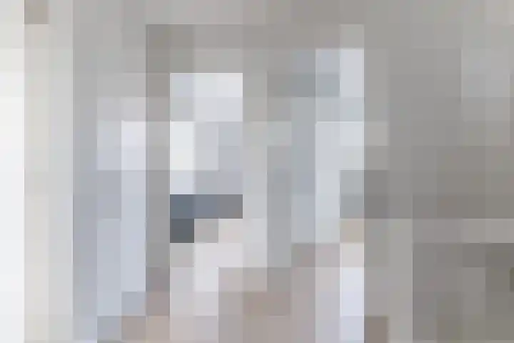 Klokstaart 13 Eersel thumbnail 19