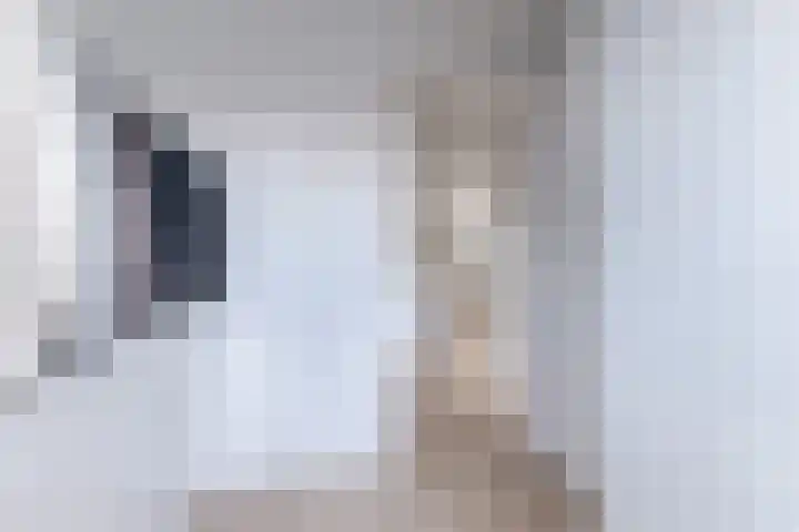 Klokstaart 13 Eersel thumbnail 26