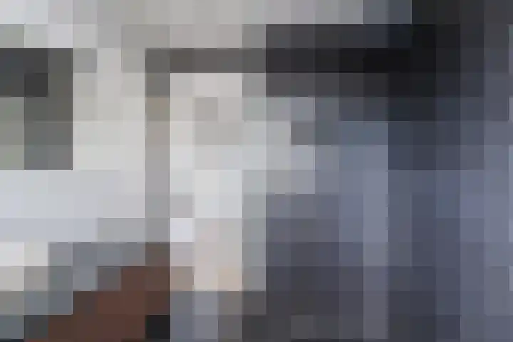Klokstaart 13 Eersel thumbnail 28