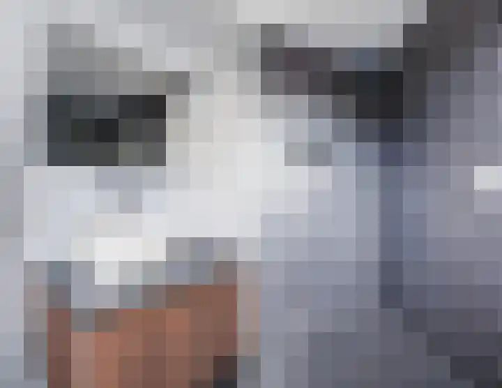 Klokstaart 13 Eersel thumbnail 29