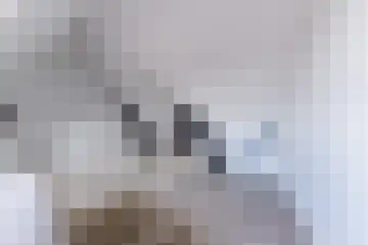 Klokstaart 13 Eersel thumbnail 31