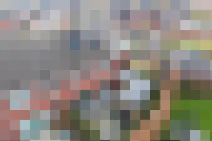 Klokstaart 13 Eersel thumbnail 39