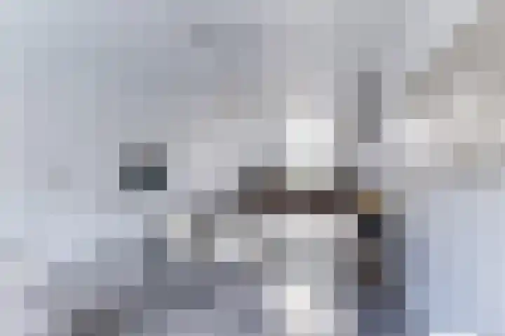 Klokstaart 13 Eersel thumbnail 7