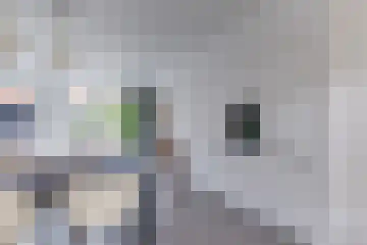 Klokstaart 13 Eersel thumbnail 9