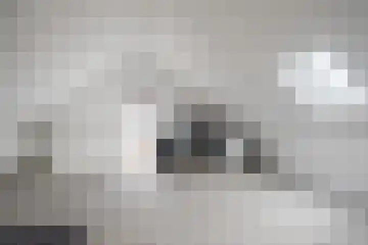 Klokstaart 69 Eersel thumbnail 26