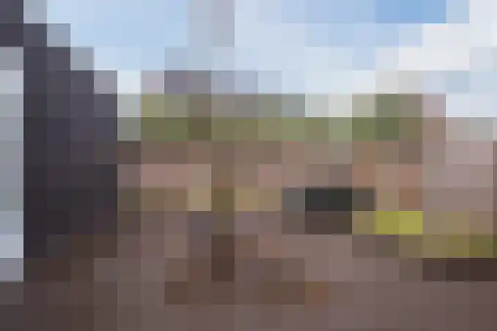 Klokstaart 69 Eersel thumbnail 30