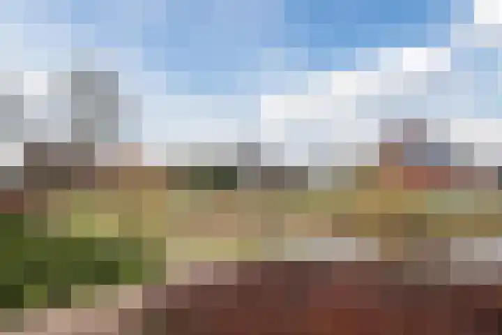 Klokstaart 69 Eersel thumbnail 37