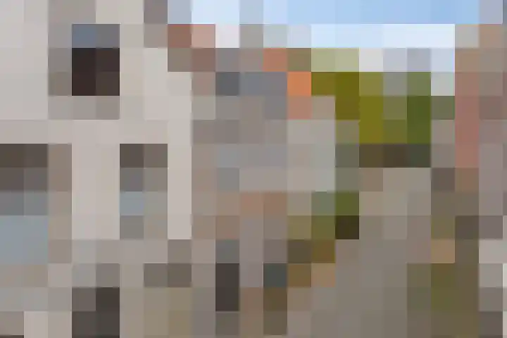 Kloksteeg 12 A in Leiden