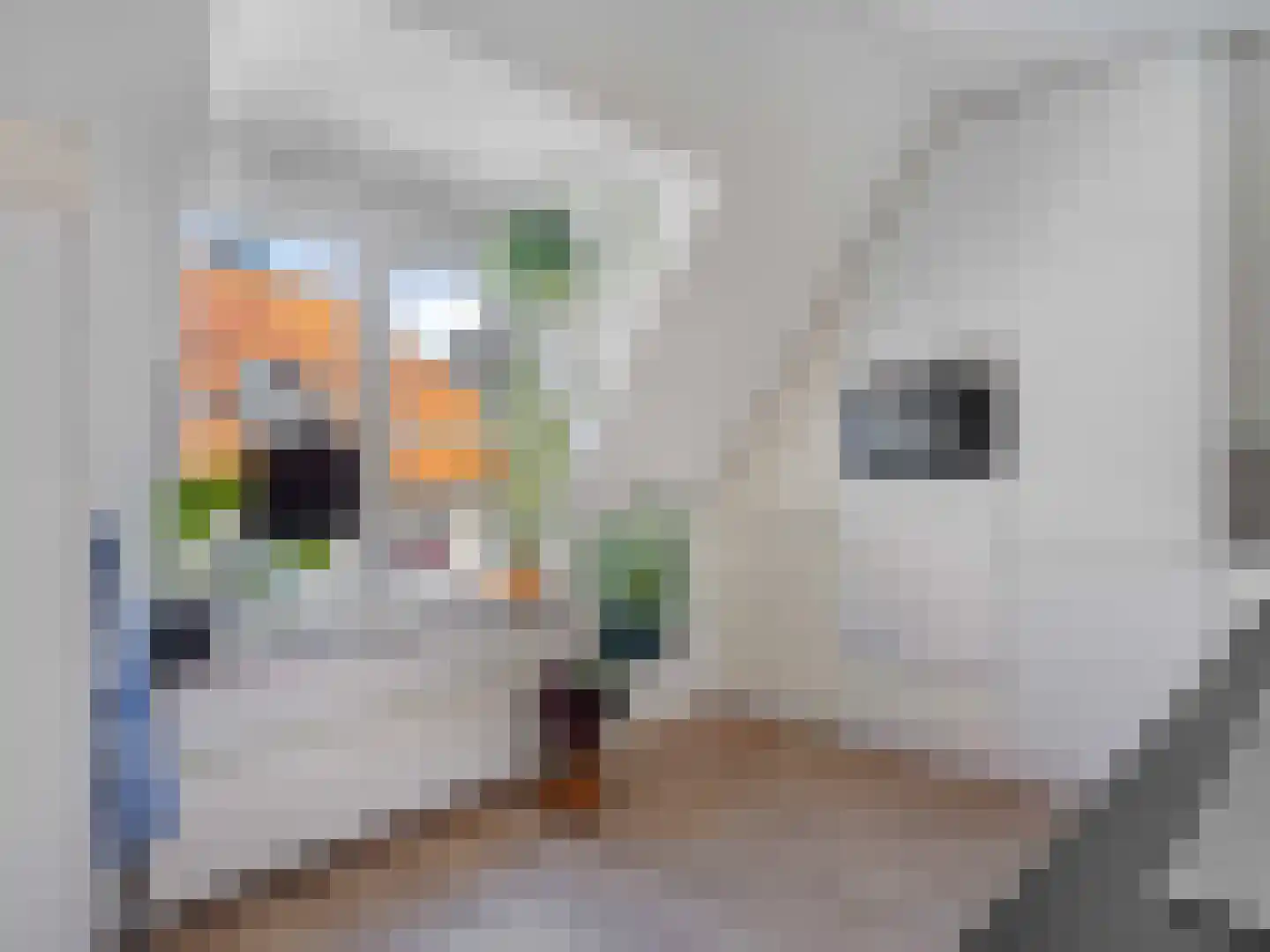 Kloksteeg 17 Utrecht thumbnail 24
