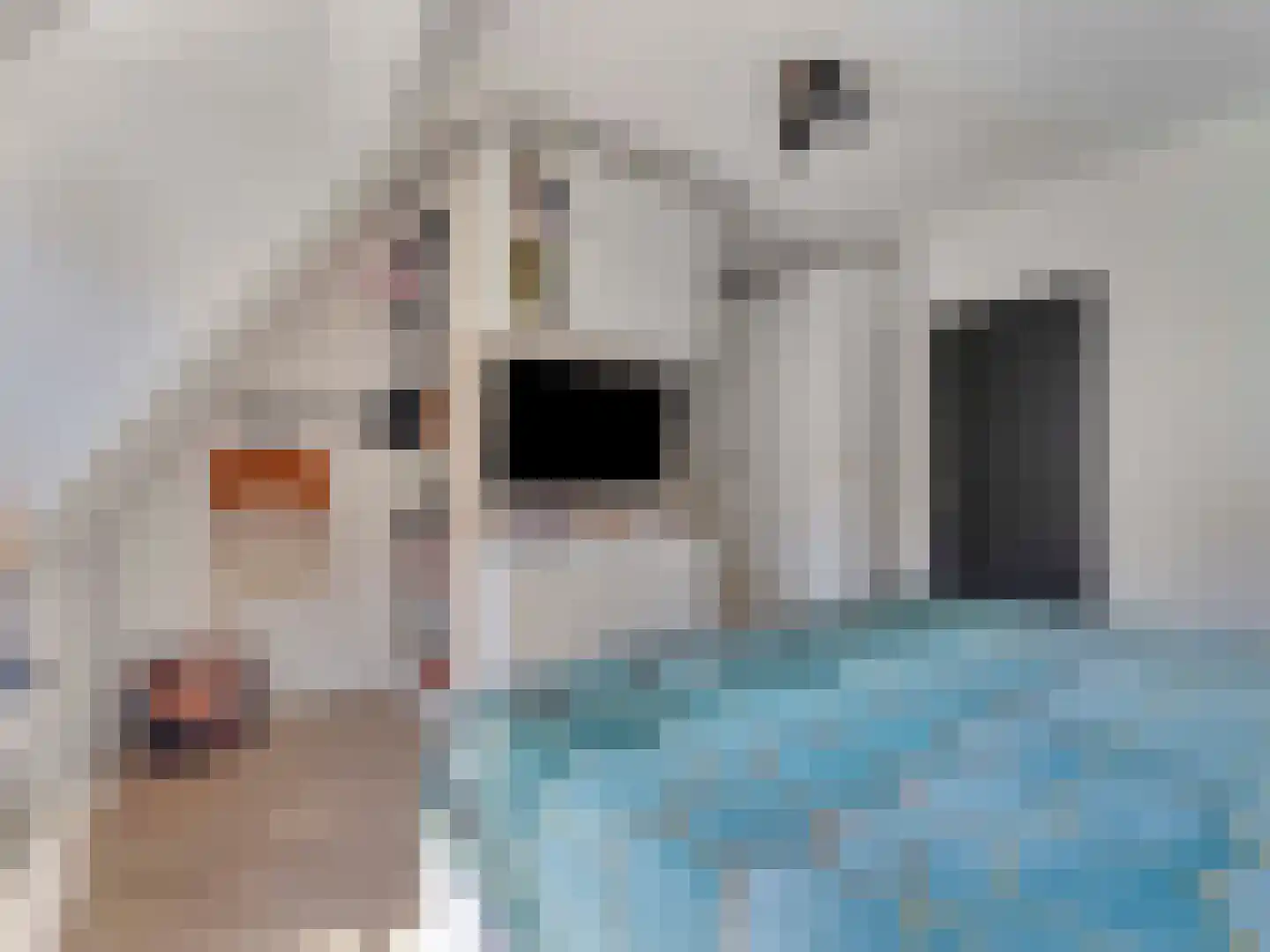 Kloksteeg 17 Utrecht thumbnail 28