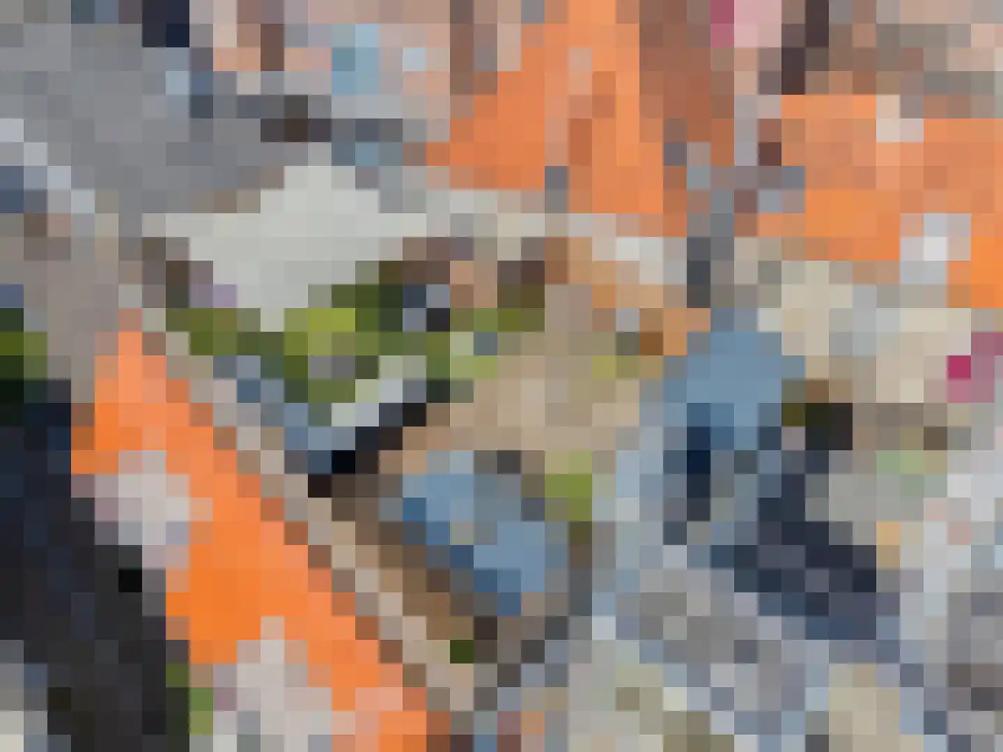 Kloksteeg 17 Utrecht thumbnail 32